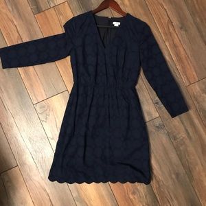 J Crew Dress